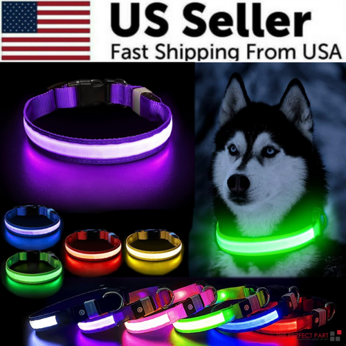 Collar LED Ajustable de Seguridad para Perros-Brillo Nocturno